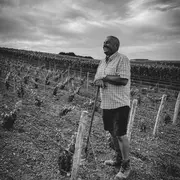 Weekend portes ouvertes - Champagne Bernard Dumont