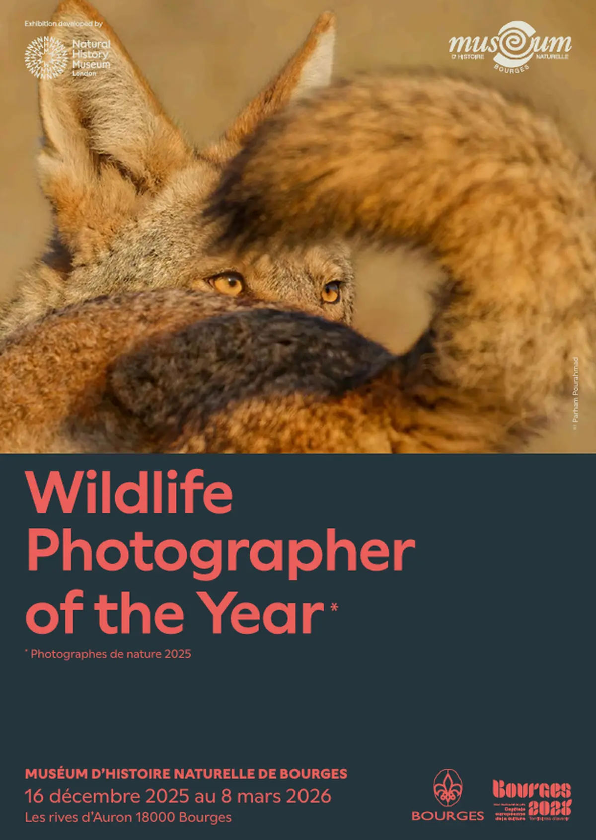 Wildlife Photographer of The Year