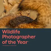 Wildlife Photographer of The Year