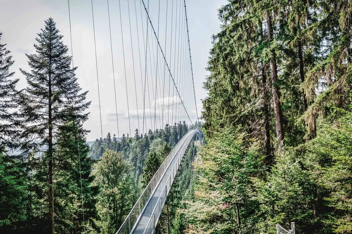 Une vue spectaculaire sur la Forêt-Noire