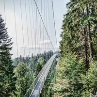 Une vue spectaculaire sur la Forêt-Noire DR