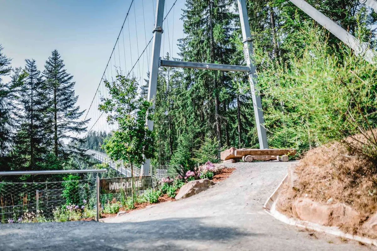 Découvrez le pont suspendu WILDLINE à Bad Wildbad