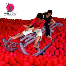 Willow
