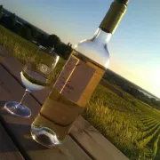 Wine & Sunset au Château Saincrit