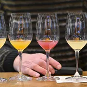 Wine Paris 2026 : salon des professionnels du vin