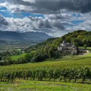 Wine Tour Privatif autour des Vins de Savoie (73)