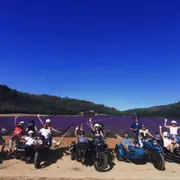 Wine-Tour  Visite lavande en Side-Car depuis Aix-en-Provence