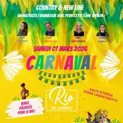 Workshops Animatrices/animateur Et Bal Du Carnaval