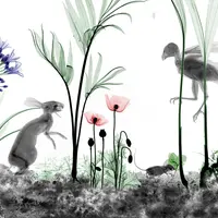 Arie van ’t Riet, It's All X-ray Scene 2, 2025, Détail
Arie van't Riet crée des natures mortes aux rayons X d'animaux et de
plantes et en a assemblé des centaines pour former un grand panorama.
 &copy; Arie van't Riet