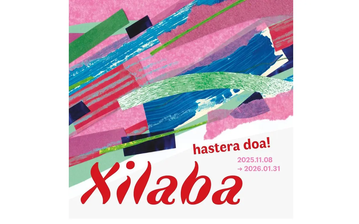 Xilaba - concours de Bertsulari