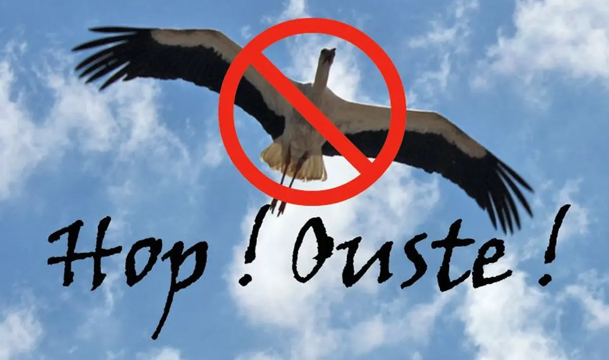 Hop, ouste la cigogne !