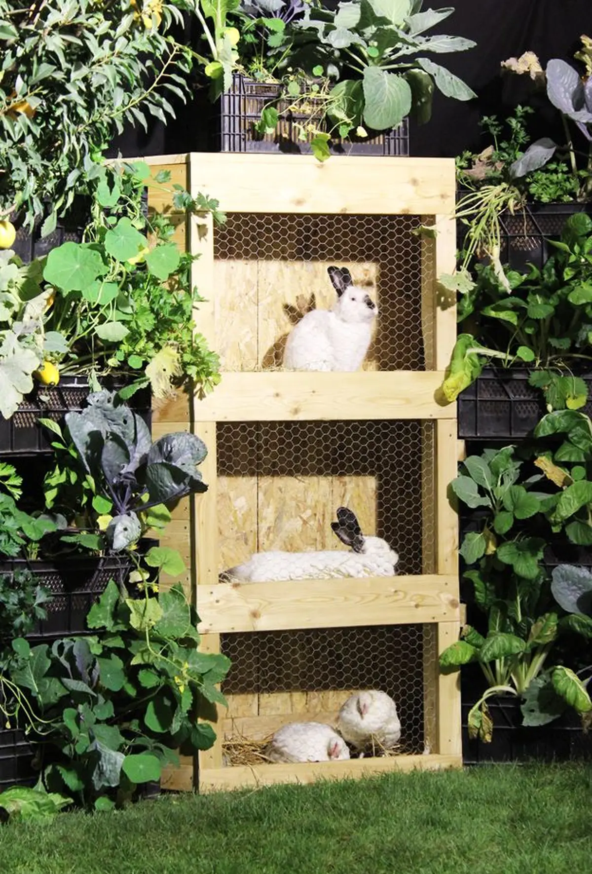 Y'en a trois qui roupillent...