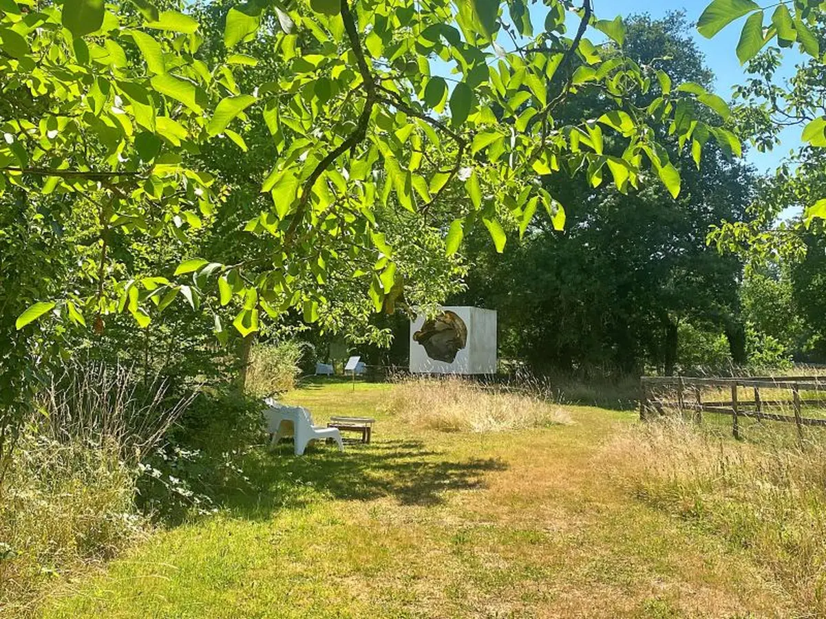 Yog’art : Balade Sensible Dans Le Bocage