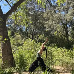 Yoga Au Cœur De La Forêt