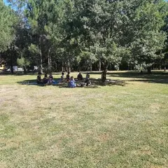 Yoga dans le jardin