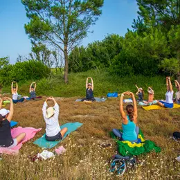 Yoga en nature