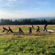 Yoga en plein air