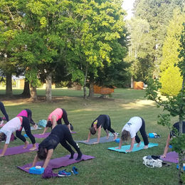 Yoga en plein air