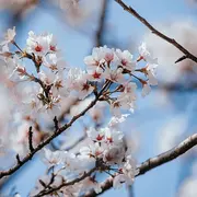 Yoga, Marche & Bain Sonore