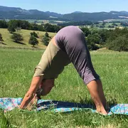 Yoga sous les poiriers