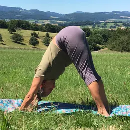 Yoga sous les poiriers