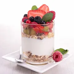 Yogurtlandia