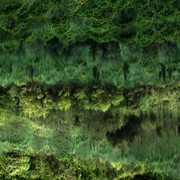 YONGKWAN JOO / Vague verte