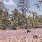 Yu-Hsuan Chiu, le journal du PCT II