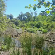 Zones humides, un patrimoine naturel à préserver