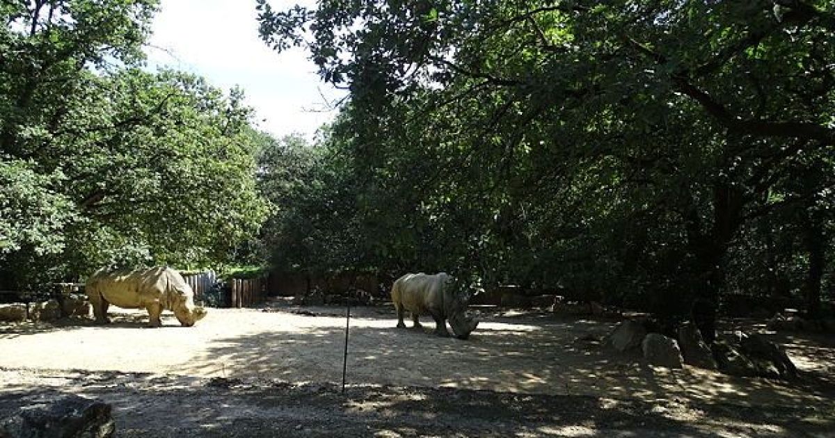 zoo african safari plaisance