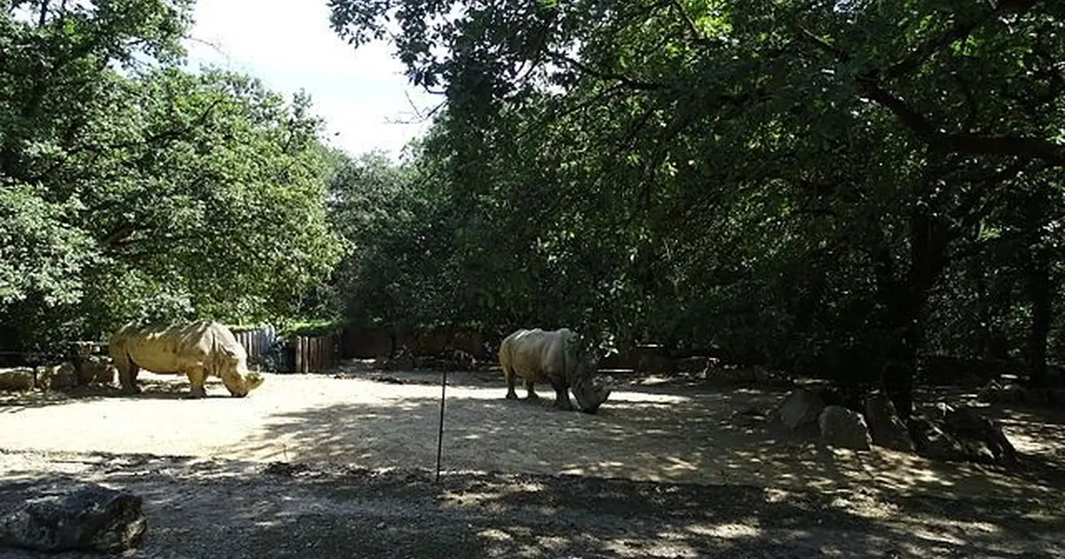 Zoo African Safari de Plaisance-du-Touch