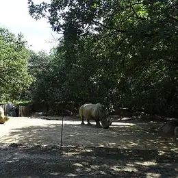 Zoo African Safari
