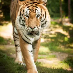 Zoo d'Amnéville