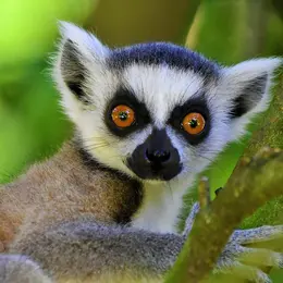 Zoo d'Upie