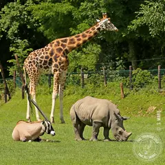 Zoo de CERZA