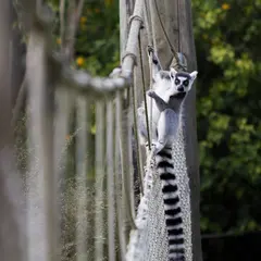 Zoo de Champrépus