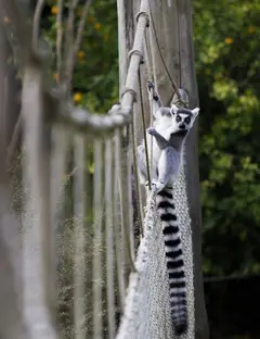 Zoo de Champrépus