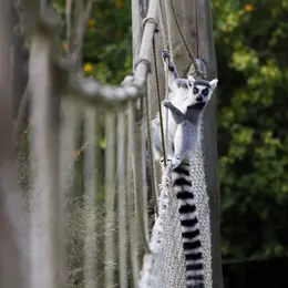 Zoo de Champrépus