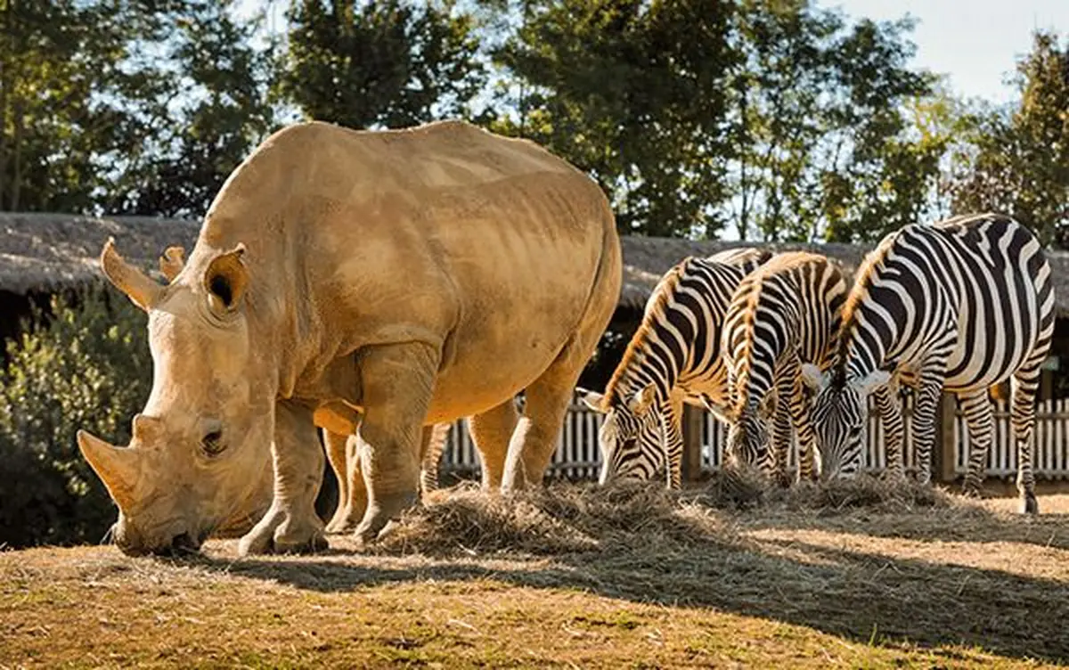 Zoo de La Boissière du Doré