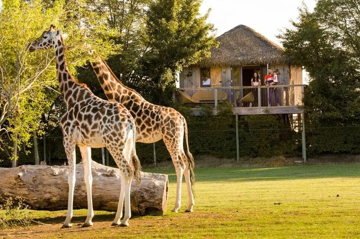 Zoo de La Boissière du Doré