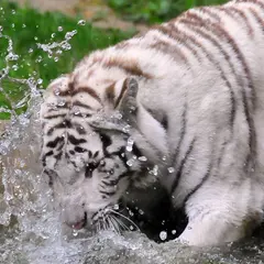 Zoo de La Boissière du Doré