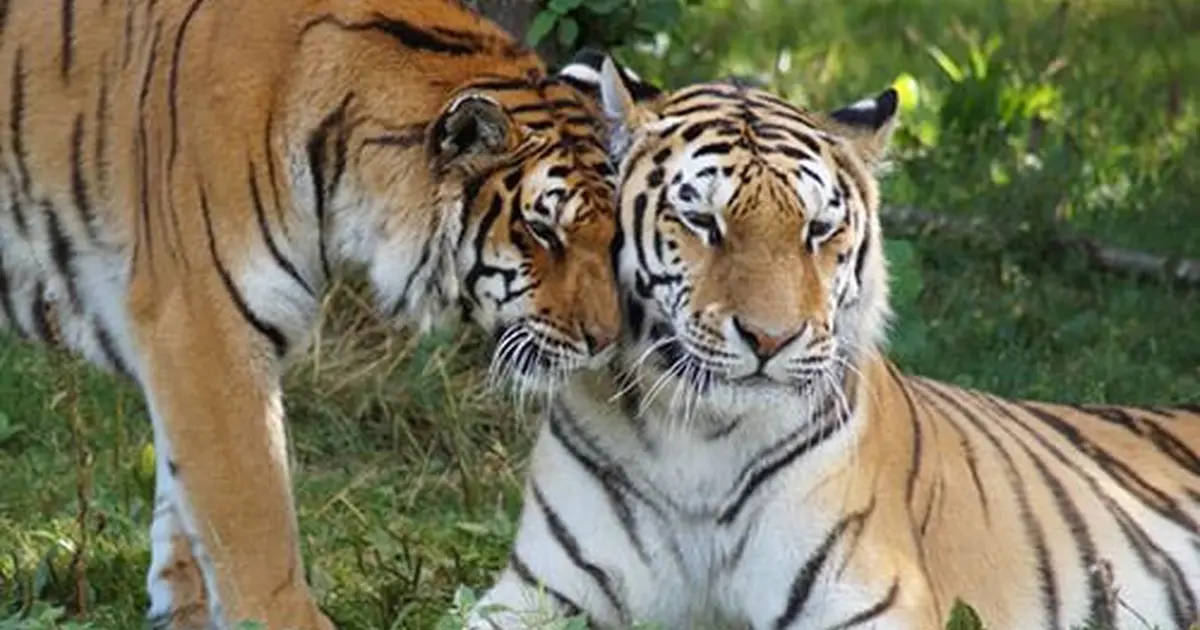 Zoo de la Bourbansais