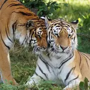 Zoo de la Bourbansais