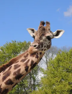 Zoo de la Bourbansais