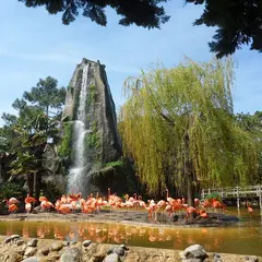 Zoo de la Palmyre