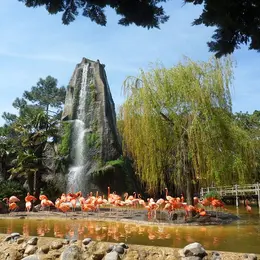 Zoo de la Palmyre