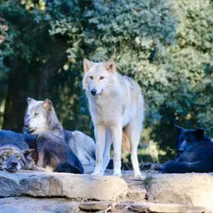 Zoo de Labenne
