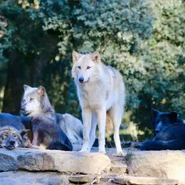 Zoo de Labenne