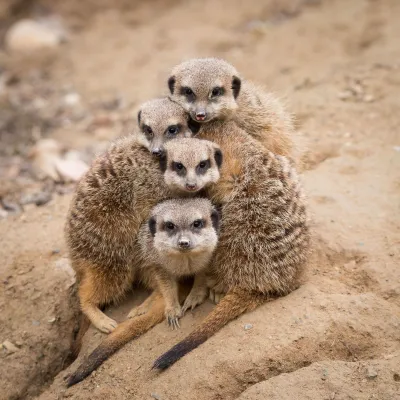 Zoo de Mulhouse : parc zoologique et botanique