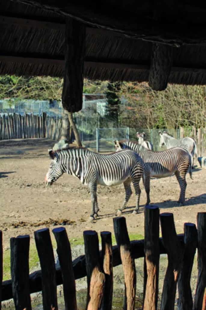 Zoo de Mulhouse : un succès qui ne se dément pas en 2012
